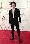 Timothee Chalamet u custom Louis Vuitton looku