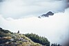 Alpe