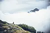 Alpe