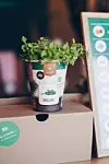 Zagreb, 110320. Interijer ducana Biljkoborci, gdje se mogu kupiti casice zemlje sa sjemenkama raznih biljaka. Foto: Sara B. Moritz / CROPIX