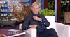 Ellen DeGeneres odvodila je svoju posljednju emisiju.