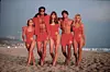 Nicole Eggert, David Hasselhoff, Alexandra Paul, David Charvet i Pamela Anderson