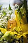 Neovadiol Meno 5 Bi-serum za kožu lica u perimenopauzi i postmenopauzi