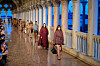 Max Mara Cruise 2025