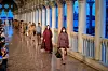 Max Mara Cruise 2025