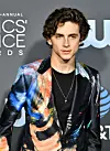 Timothee Chalamet Fotografija: rexfeatures.com