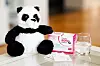 OMNi-BiOTiC® PANDA