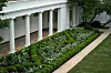 WASHINGTON, DC - AUGUST 22: A view of the recently renovated Rose Garden at the White House on August 22, 2020 in Washington, DC. The Rose Garden has been under renovation since last month and updates to the historic garden include a redesign of the plantings, new limestone walkways and technological updates to the space. (Photo by Drew Angerer/Getty Images)