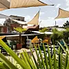 Foto: Swanky Monkey Garden