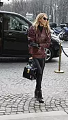 Celine Dion s torbom Thoma Brownea, čije komade rado nosi