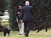 Bill Clinton zabavljao se s mačkom i psom - koji su bili u vječnom sukobu.