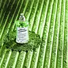 MAISON MARGIELA Replica Matcha Meditation toaletna voda odiše matcha čajem, 100 ml, 815 kn.