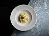 Turbot