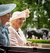 Camilla će postati savjetnica države, jednom kada princ Charles postane vladar.