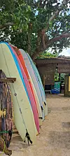 Raj za surfere na otoku Siargao