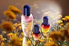 L'Occitane kolekcija Immortelle Reset