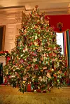 ANDREW LEYDEN/NURPHOTO/SHUTTERSTOCK