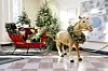 MICHAEL BROCHSTEIN/ZUMA PRESS WIRE/SHUTTERSTOCK