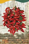 Domaća mljevena paprika već je nekoliko godina natraženiji proizvod i suvenir u Baranji. Mještani Luga, gdje se skoro svaka druga kuća bavi proizvodnjom domaće mljevene paprike, tvrde da su rijetki oni koji novu sezonu uspiju dočekati sa zalihama. Stoga su odlučili promovirati ovaj proizvod i predstaviti ga na Paprika festivalu u Lugu