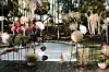 Fotografija: Weddings in Croatia/Marcijuš Studio