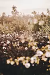 Fotografija: Unsplash
