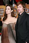 FOTOGRAFIJE: JIM SMEAL/BEI/SHUTTERSTOCK JIM SMEAL/BEI/SHUTTERSTOCK Mandatory Credit: Photo by Jim Smeal/BEI/Shutterstock (726908sd) Angelina Jolie and Brad Pitt 14th Annual Screen Actors Guild Awards, Arrivals, Shrine Auditorium, Los Angeles, America - 27 Jan 2008