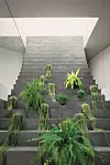 Stairway House arhitektonskog studija Nendo iz Tokija: ‘zazelenjene’ stepenice povezuju katove kuće i protežu se do vrta.
