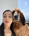 Ariana Grande