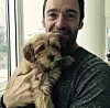 Hugh Jackman