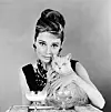 Audrey Hepburn s bezimenim mačkom iz filma 'Doručak kod Tiffanyja'
