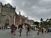 30551507