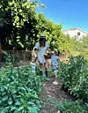 U vrtu sade domaće povraće i voće o kojima brine njezin otac