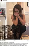Kate Beckinsale zaprepastila se kad je našla zeca ispred vratiju
