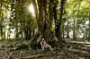KOSTARIKA: Očarani bajkovitom atmosferom tropske šume Monteverde.