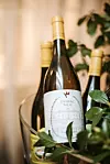 Vina iz Dvorca Belaj