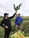 Paul Ivić na imanju gdje se uzgaja povrće po bio principu