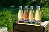 Ekipa Kombucha