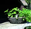 Tegla za cvijeće 40x23x22 cm - 109,99 kn (Pevex)