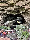 Jameos del Agua - sustav špilja koje je napravila lava i slano jezero gdje su smješteni umjetnički centar, koncertna dvorana i restoran