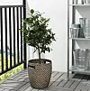 Ragkorn tegla za biljke, 24 cm - 149,90 kn (Ikea)