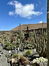 Spektakularni prizori u Jardin de Cactus (Vrtu kaktusa)