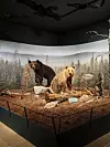 Arktikum muzej