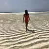 PRESS