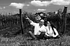 VINARIJA DAMJANIć/PRIVATNA ARHIVA