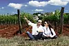 VINARIJA DAMJANIć/PRIVATNA AVinarija DamjanićRHIVA