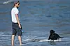 Princ Harry sa svojom labradoricom Pulom.