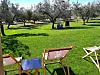 Kušanja ulja s pogledom na maslinike Fotografija: TZG Vodnjana