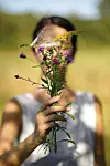 Lavanda
