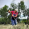 Danijela Dvornik obožava rad u polju