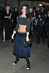 Emily Ratajkowski CFDA Fashion Awards, Arrivals, New York, USA - 10 Nov 2021,Image: 642596339, License: Rights-managed, Restrictions:, Model Release: no, Credit line: Erik Pendzich/Shutterstock Editorial/Profimedia
